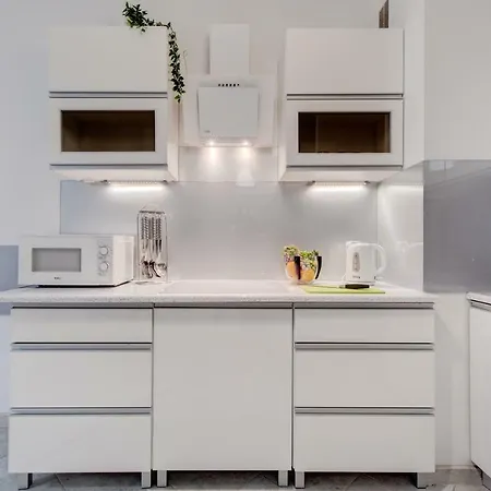 Silver * شتشيتسين